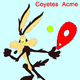 Coyotes Acme