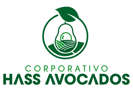 Corporativo Hass Avocados