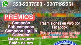 Información del torneo 